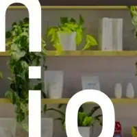 日本スタートアップの未来