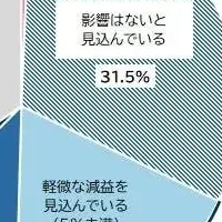 トランプ関税の影響