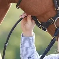 近鉄百貨店福袋特集