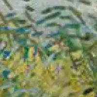 永遠をさがしに