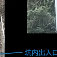 省エネの新技術