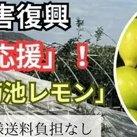 八丈島のレモン支援