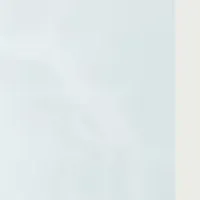 新スキンケア販売成功