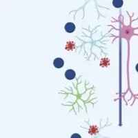 膠芽腫と脳クリアランス