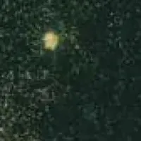 詩人Payaoの新作