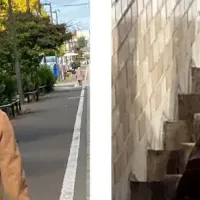 清掃ボランティア活動