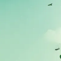 GSIクレオスの報告書