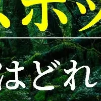 パワースポット体験