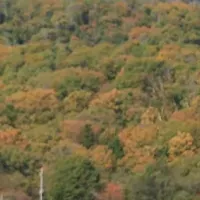 新色登場！電動自転車