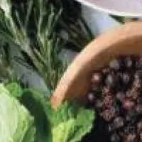 スパイス＆ハーブの魅力