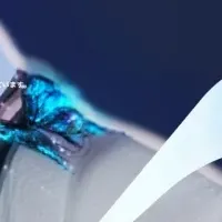 VRCコレクションの魅力