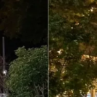 ていれぎの湯の冬