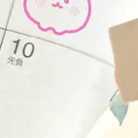 新デザイン登場！