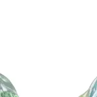 限定ヘドラフィギュア