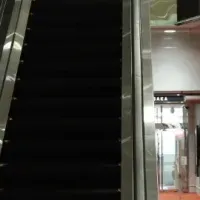 ショクサイ出展