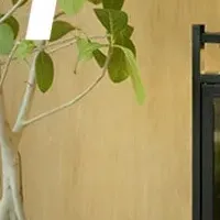 おしゃれなガラス温室