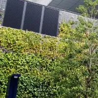 日比谷アメニス、2年連続受賞