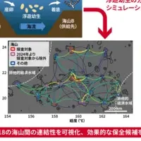 深海生態系の未来