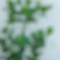 Engagement UPの実績