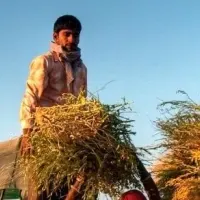 HRDDとカイゼンの融合