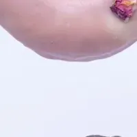 gmgmのリースフィナンシェ