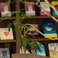 未来を考える特番