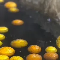 冬至の柚子めぐり