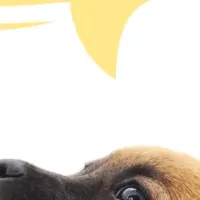 ペット相続勉強会