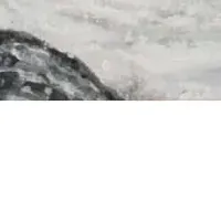 市原市収蔵作品展