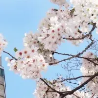 受験生プラン2026