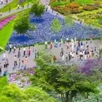 ユニフォームデザインプロジェクト