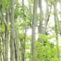 池袋で自然を守る