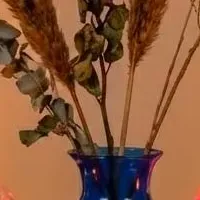 中目黒POP UP STORE