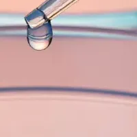 新サービス開始！