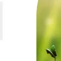 LSEED＃20募集開始