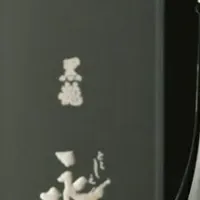 永平寺町の特別返礼品