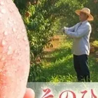 桃の未来を守れ！