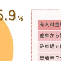白地風ナンバーの実態
