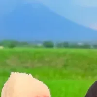 おにぎりフォトグランプリ