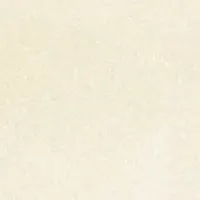 清水直行の挑戦