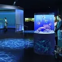 宿泊プランの魅力