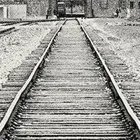 アウシュヴィッツの恋人たち