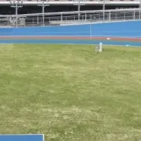 アーバンサイクルパークス広島