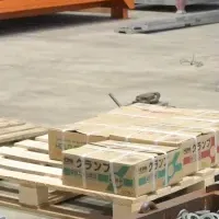 ヒューマノイドロボット開発