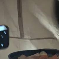 冬のこたつキャンプ