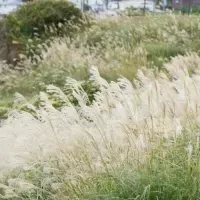 内澤崇仁の初エッセイ