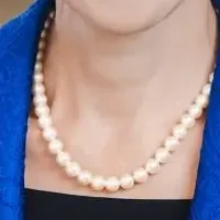 FIIサミット2025の高市講演