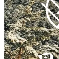 街中で狩猟体験