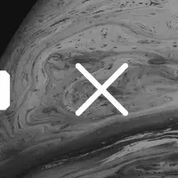 スリランカ人材受け入れ