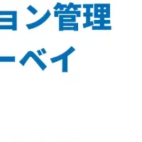 NALYSYS新プラン登場